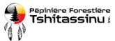 Logo_Pepiniere_Tshitassinu